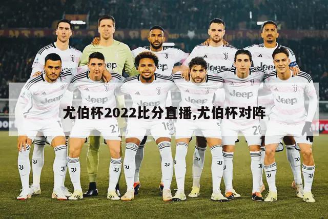 尤伯杯2022比分直播,尤伯杯对阵